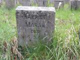 image number Marsh Harriet   257